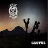 Jolly Roger (ESP) : Cactus